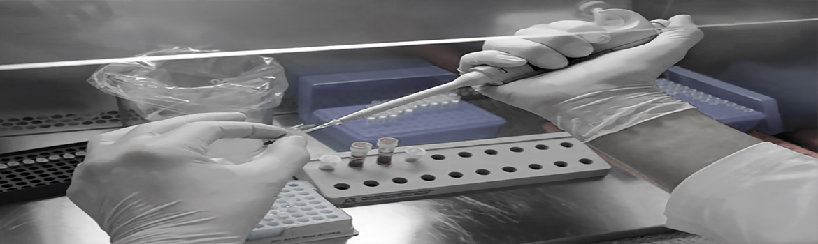 sslider-header-index3 ehp boukhatmi